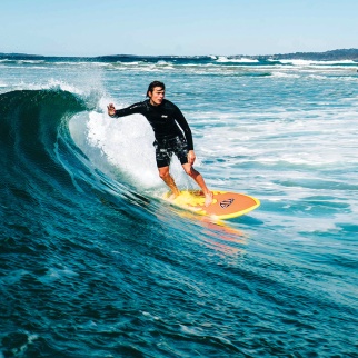 MR Epoxy Twin Fin - Accion surf